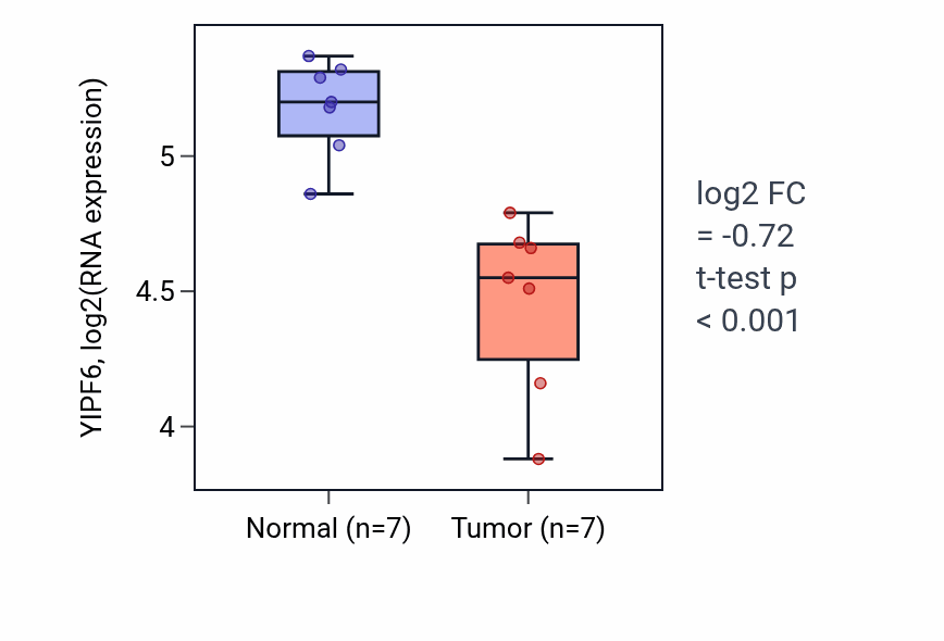 Tumor-vs-normal expression box plot for YIPF6 RNA in THCA.