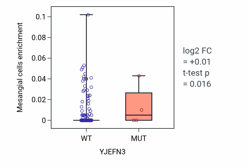 Box plot of Mesangial cells in YJEFN3-low vs YJEFN3-high samples in SKCM.