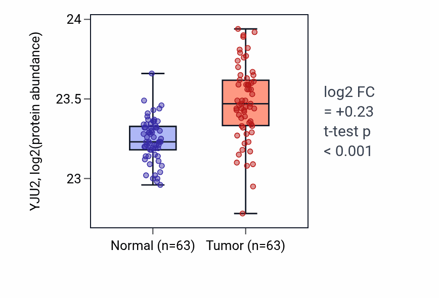 Tumor-vs-normal mass-spec protein box plot for YJU2 in CCRCC.