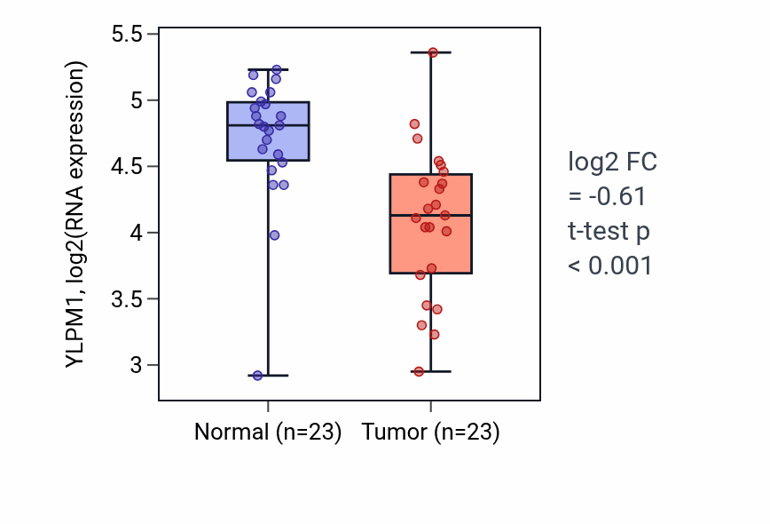 Tumor-vs-normal expression box plot for YLPM1 RNA in THCA.