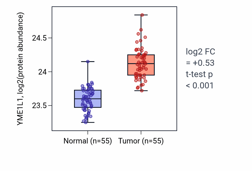 Tumor-vs-normal mass-spec protein box plot for YME1L1 in COAD.