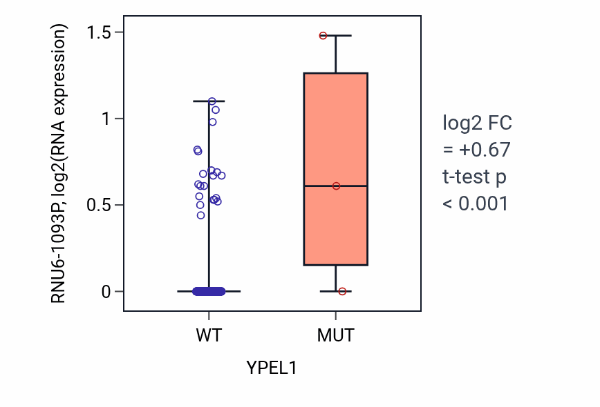 Box plot of RNU6-1093P in YPEL1-low vs YPEL1-high samples in SKCM.
