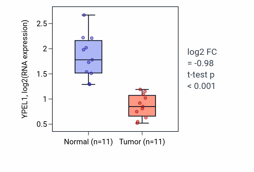 Tumor-vs-normal expression box plot for YPEL1 RNA in KICH.
