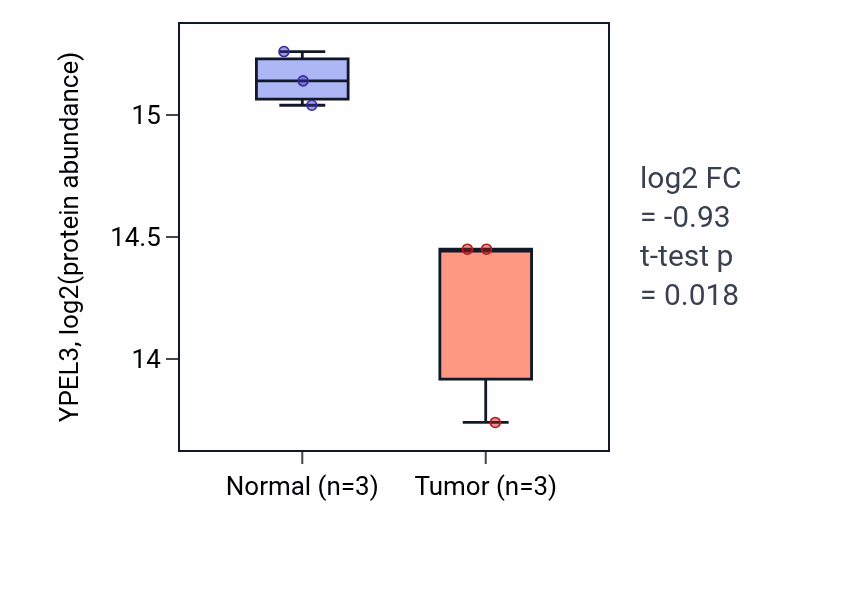 Tumor-vs-normal mass-spec protein box plot for YPEL3 in LSCC.