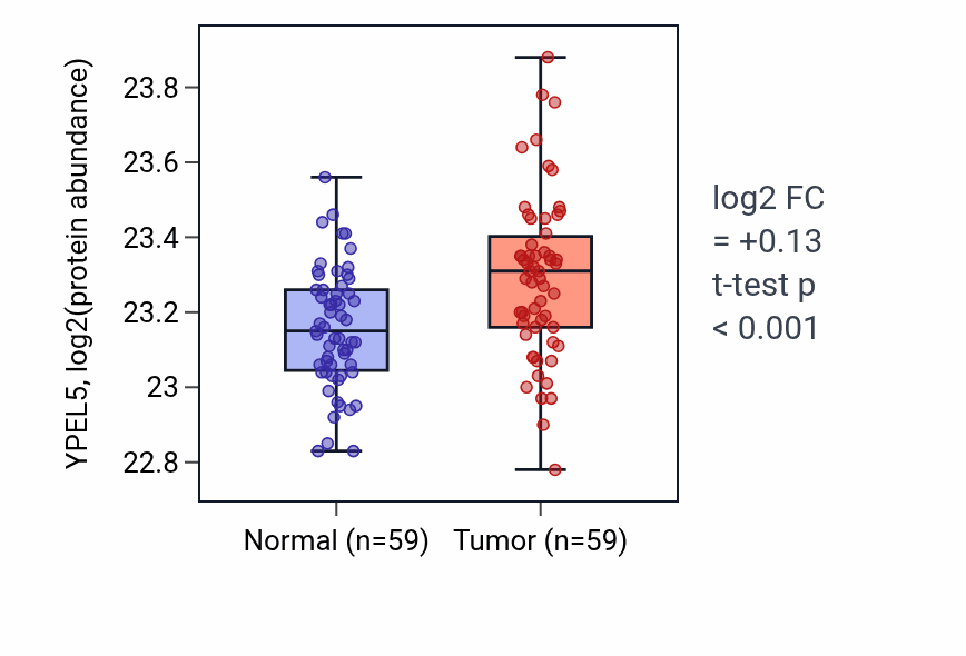 Tumor-vs-normal mass-spec protein box plot for YPEL5 in LSCC.
