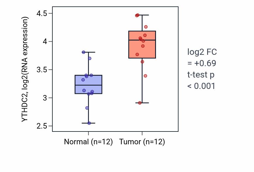 Tumor-vs-normal expression box plot for YTHDC2 RNA in KIRC.