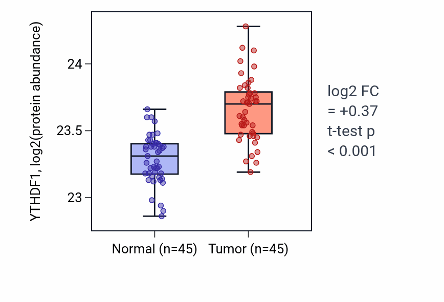 Tumor-vs-normal mass-spec protein box plot for YTHDF1 in HNSC.