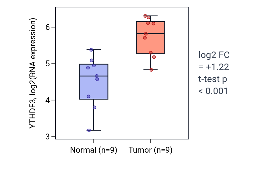Tumor-vs-normal expression box plot for YTHDF3 in HNSC.