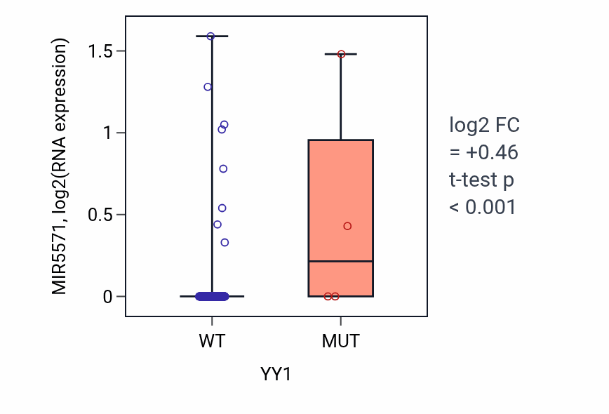 Box plot of MIR5571 in YY1-low vs YY1-high samples in STAD.