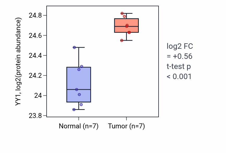 Tumor-vs-normal mass-spec protein box plot for YY1 in COAD.