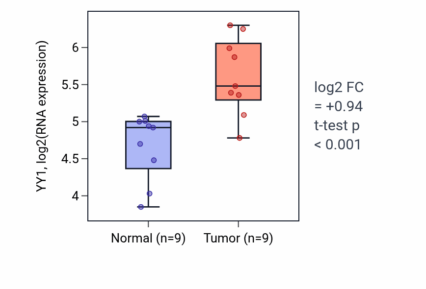 Tumor-vs-normal expression box plot for YY1 RNA in HNSC.