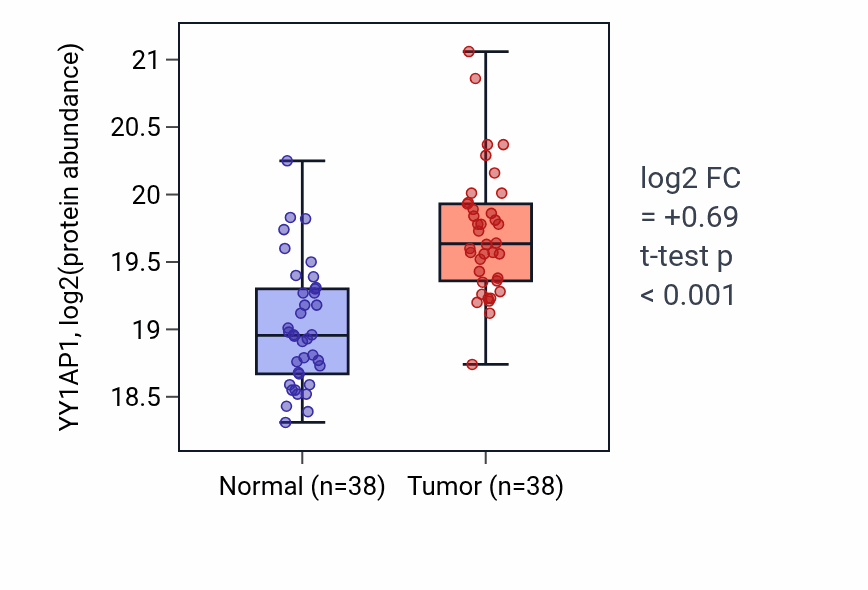 Tumor-vs-normal mass-spec protein box plot for YY1AP1 in LSCC.