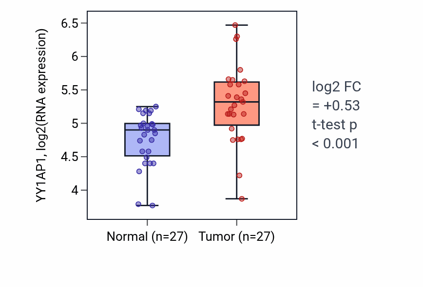 Tumor-vs-normal expression box plot for YY1AP1 RNA in HNSC.