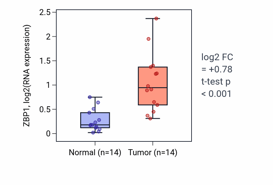 Tumor-vs-normal expression box plot for ZBP1 RNA in KIRC.