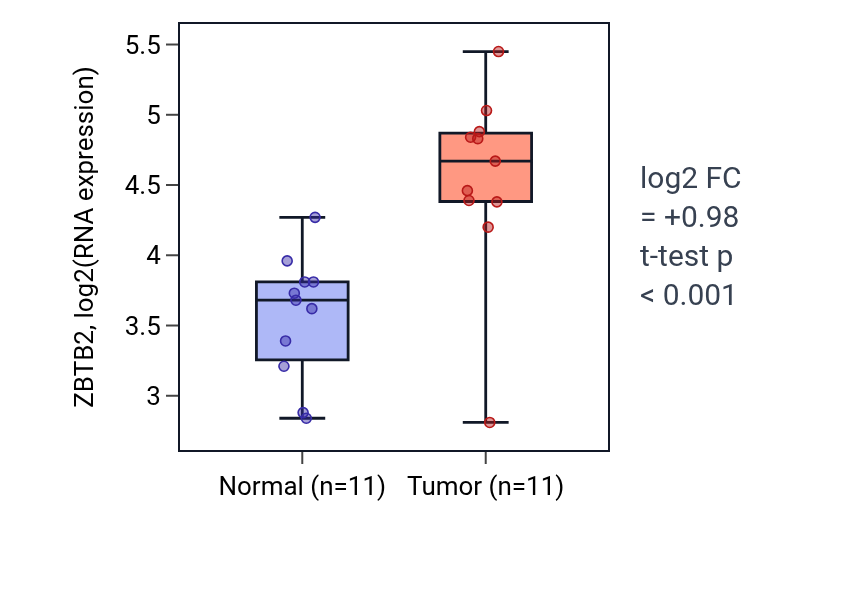 Tumor-vs-normal expression box plot for ZBTB2 in HNSC.