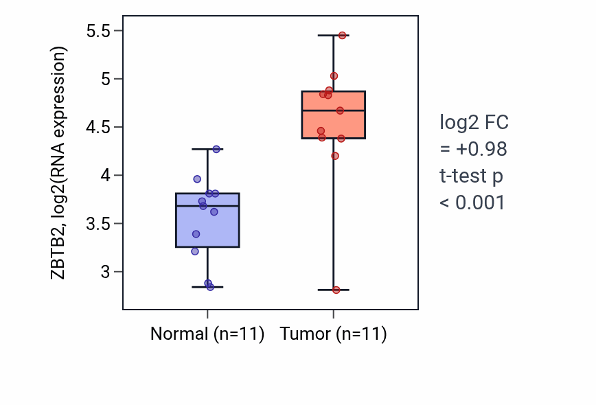 Tumor-vs-normal expression box plot for ZBTB2 RNA in HNSC.
