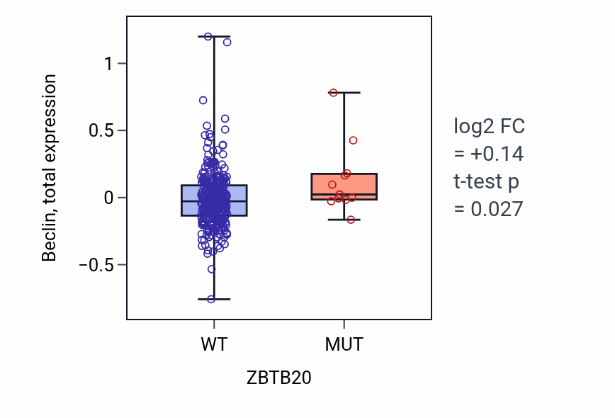 Box plot of Beclin in ZBTB20-low vs ZBTB20-high samples in LUSC.
