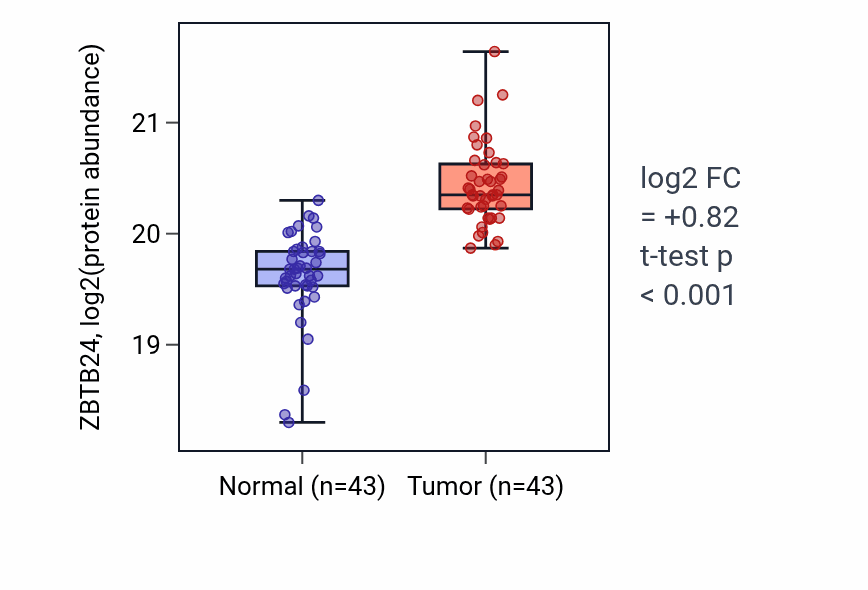 Tumor-vs-normal mass-spec protein box plot for ZBTB24 in LSCC.