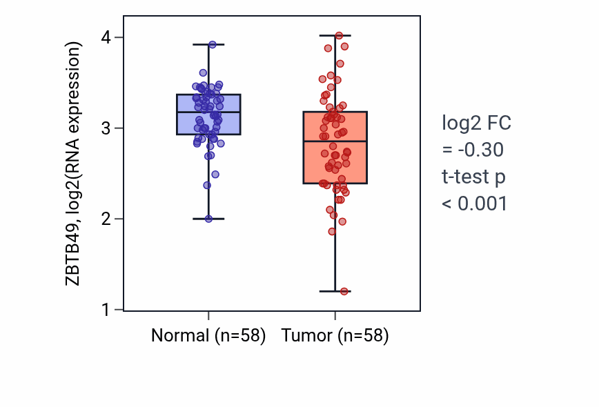 Tumor-vs-normal expression box plot for ZBTB49 RNA in THCA.
