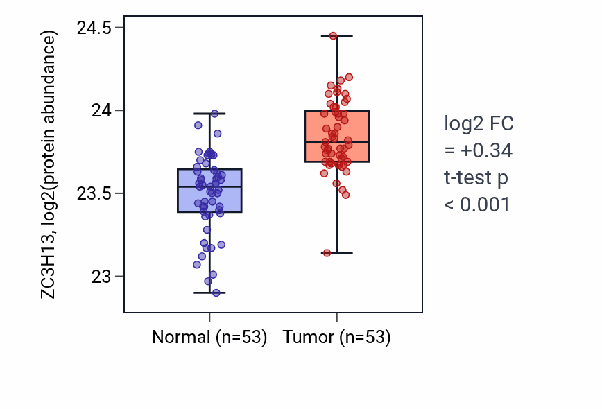 Tumor-vs-normal mass-spec protein box plot for ZC3H13 in HNSC.