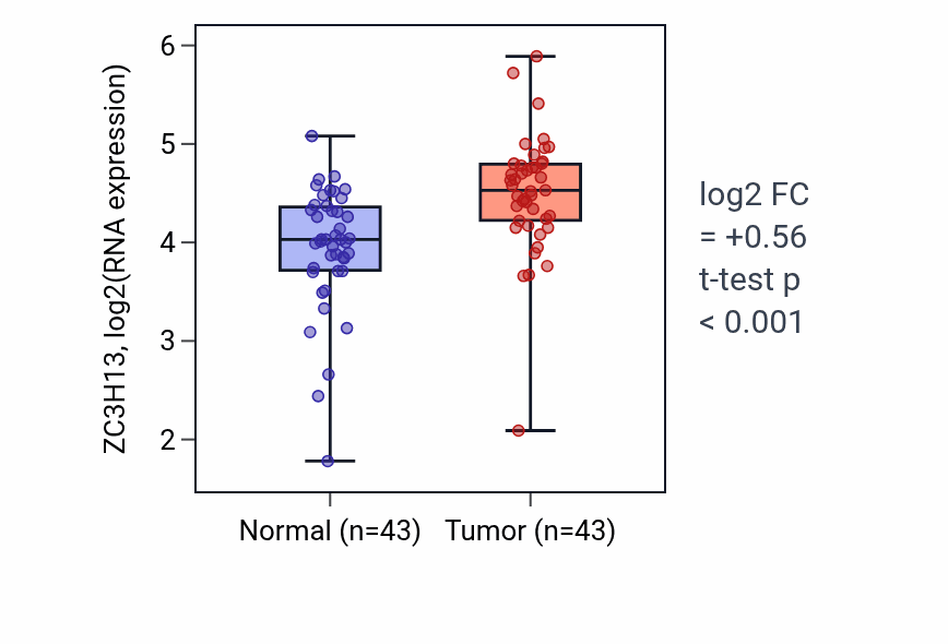 Tumor-vs-normal expression box plot for ZC3H13 RNA in HNSC.
