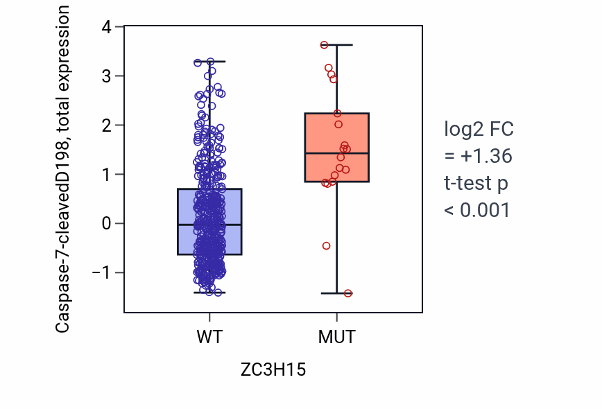 Box plot of Caspase-7-cleavedD198 in ZC3H15-low vs ZC3H15-high samples in UCEC.