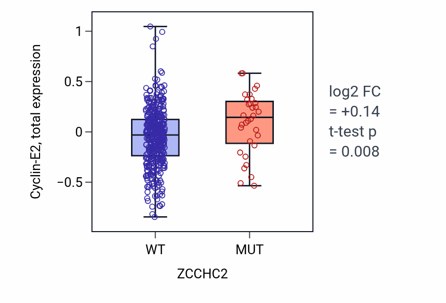 Box plot of Cyclin-E2 in ZCCHC2-low vs ZCCHC2-high samples in UCEC.