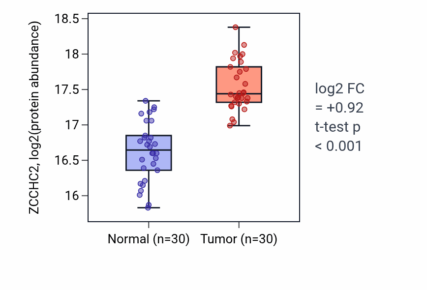 Tumor-vs-normal mass-spec protein box plot for ZCCHC2 in HNSC.