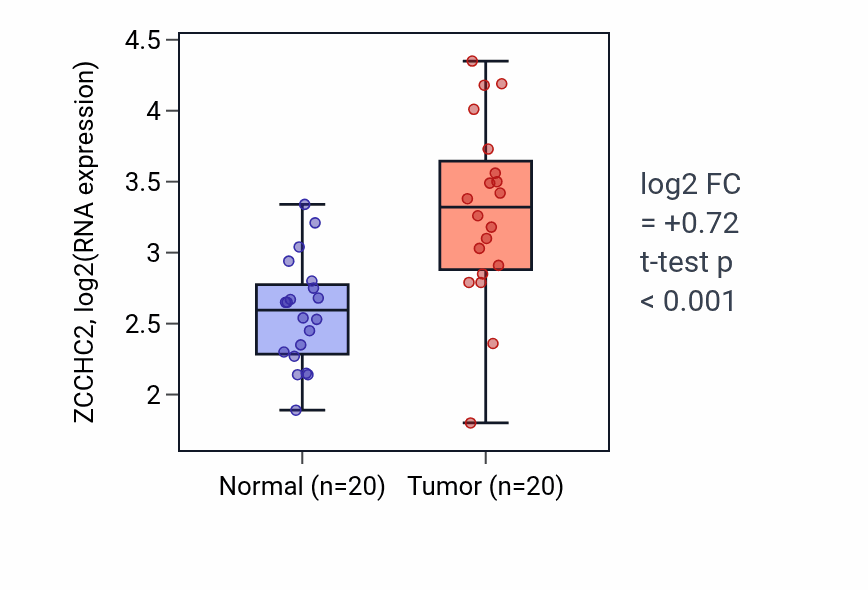 Tumor-vs-normal expression box plot for ZCCHC2 RNA in KIRC.