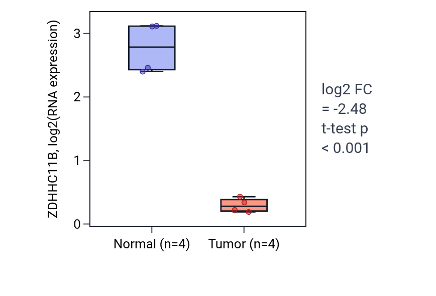 Tumor-vs-normal expression box plot for ZDHHC11B in BLCA.