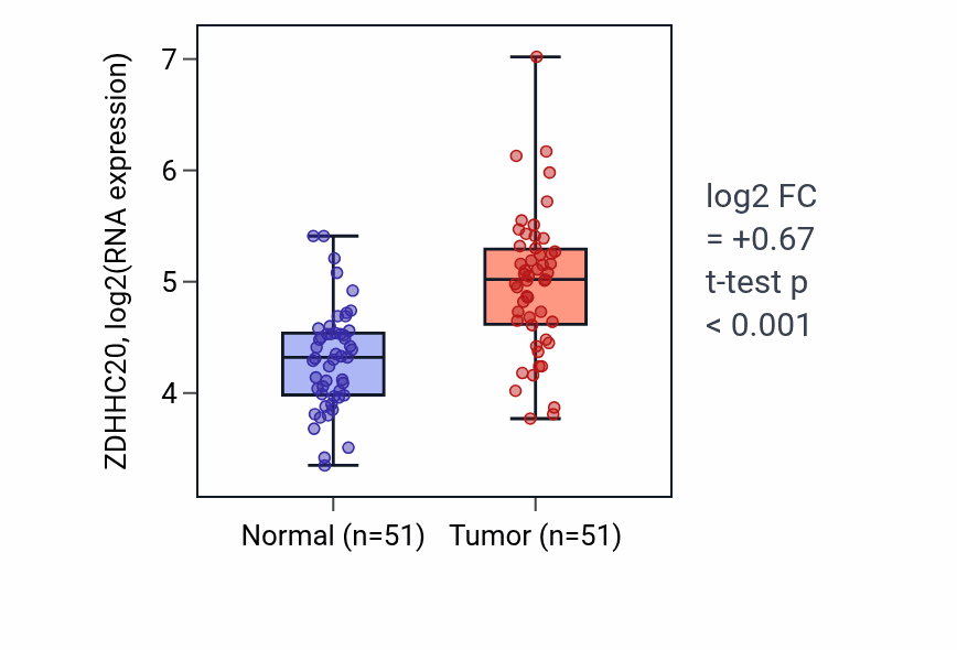 Tumor-vs-normal expression box plot for ZDHHC20 in KIRC.