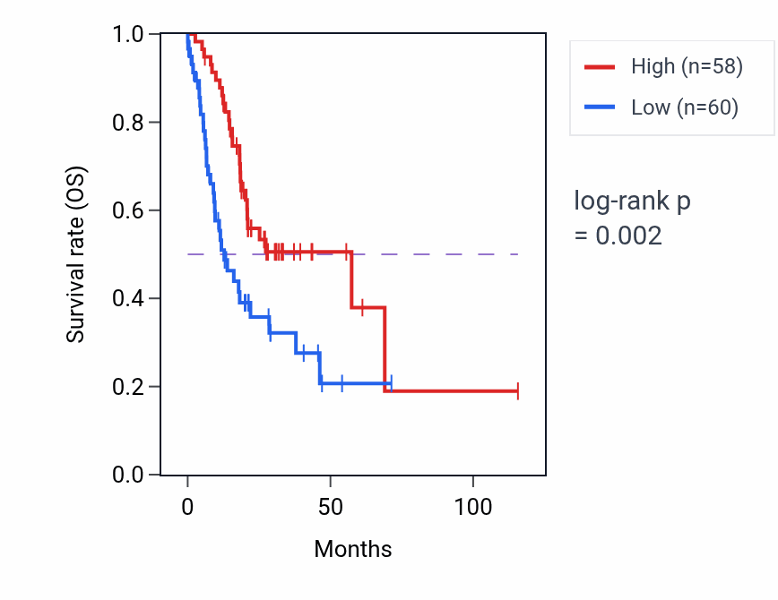 Kaplan&ndash;Meier survival curve for ZDHHC24 RNA-high vs -low samples in STAD.