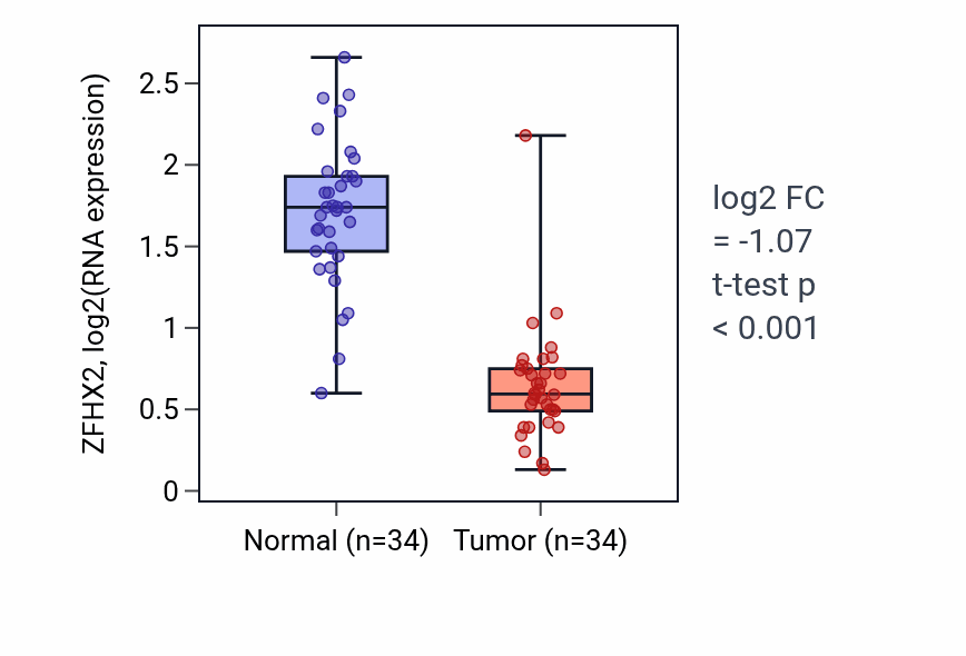 Tumor-vs-normal expression box plot for ZFHX2 RNA in KIRC.