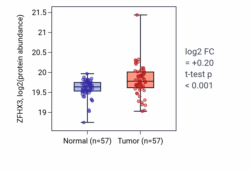 Tumor-vs-normal mass-spec protein box plot for ZFHX3 in CCRCC.