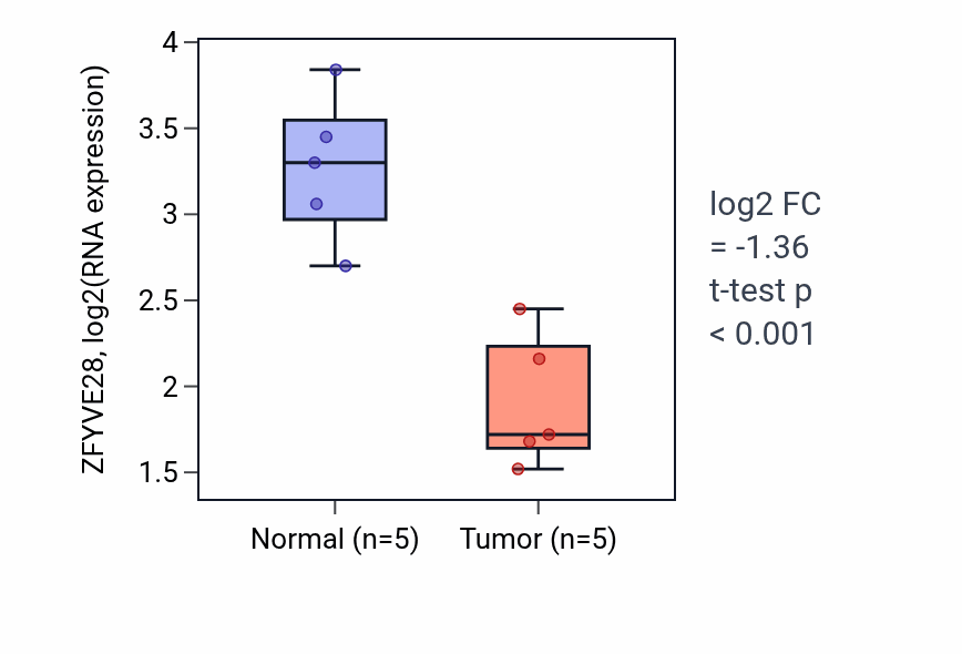 Tumor-vs-normal expression box plot for ZFYVE28 RNA in COAD.