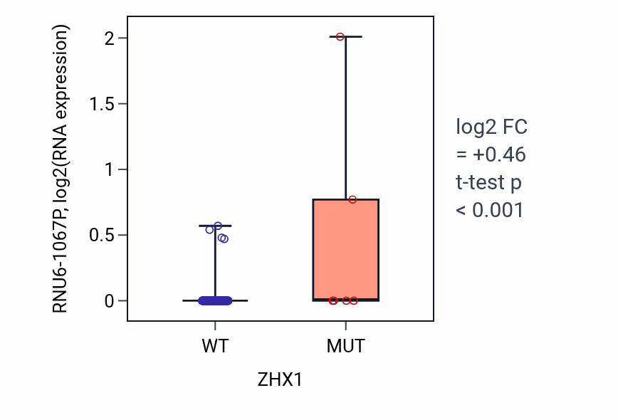 Box plot of RNU6-1067P in ZHX1-low vs ZHX1-high samples in CESC.