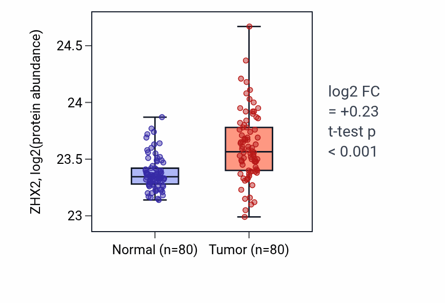 Tumor-vs-normal mass-spec protein box plot for ZHX2 in CCRCC.