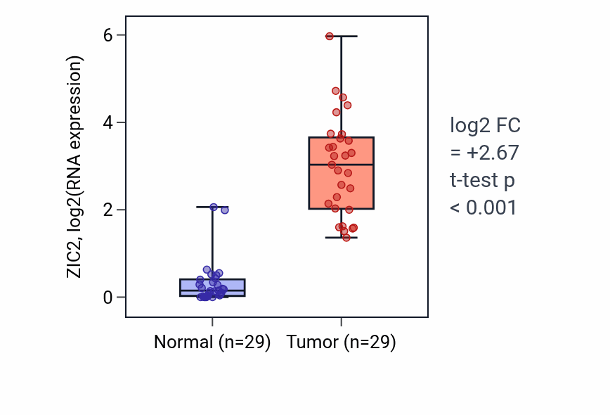 Tumor-vs-normal expression box plot for ZIC2 RNA in HNSC.
