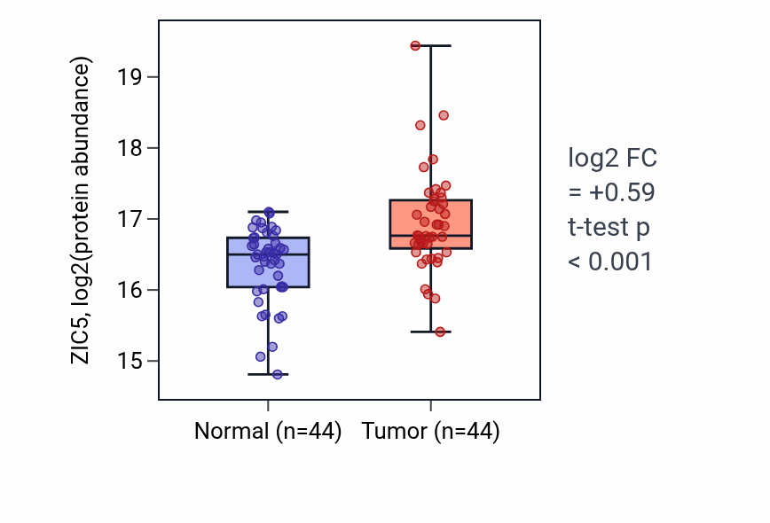 Tumor-vs-normal mass-spec protein box plot for ZIC5 in LSCC.