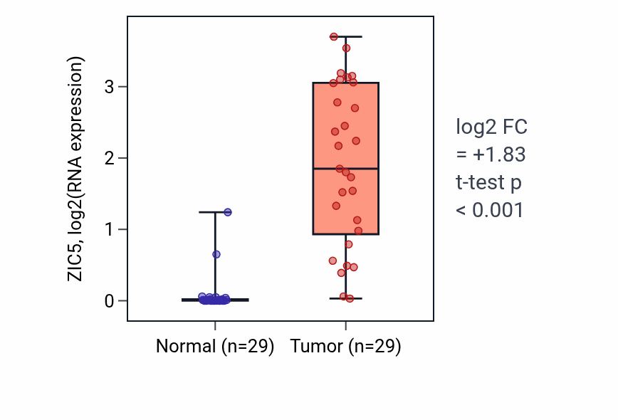 Tumor-vs-normal expression box plot for ZIC5 RNA in HNSC.