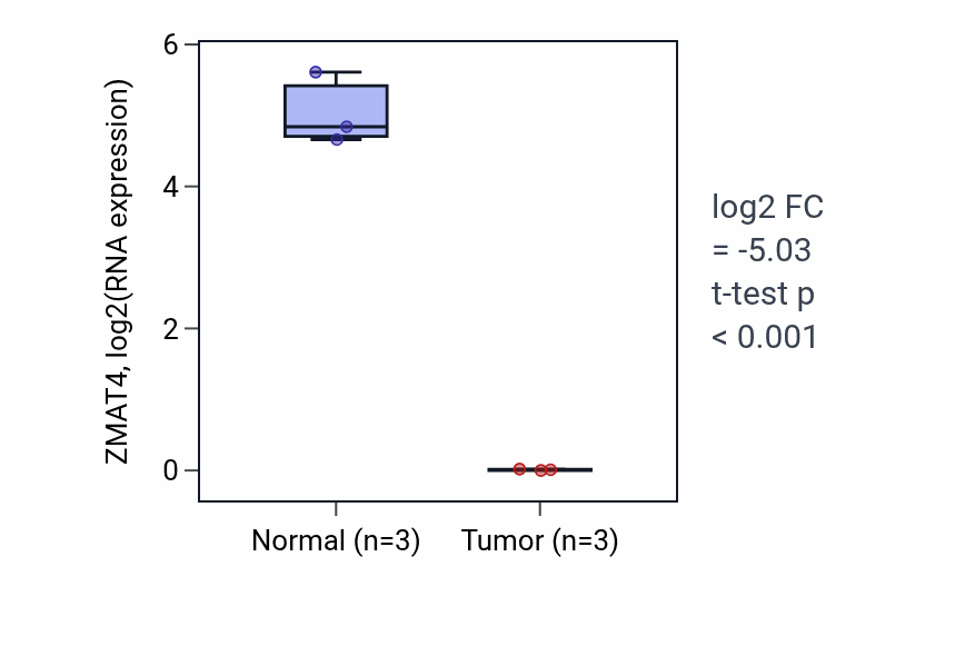 Tumor-vs-normal expression box plot for ZMAT4 in THCA.