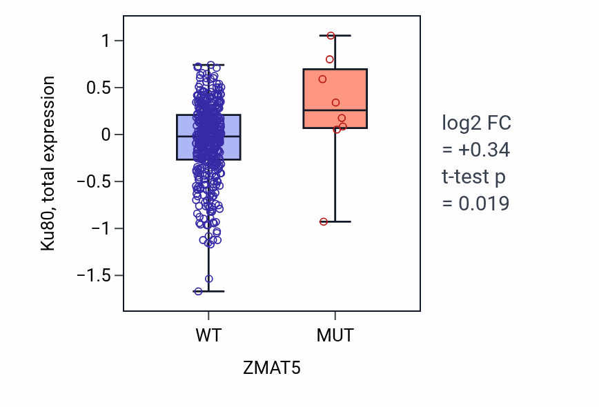 Box plot of Ku80 in ZMAT5-low vs ZMAT5-high samples in UCEC.