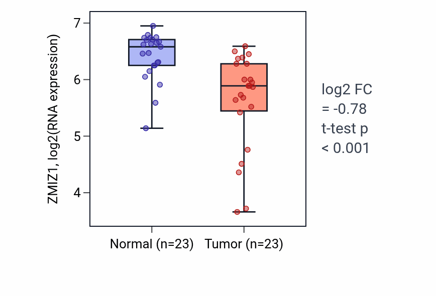 Tumor-vs-normal expression box plot for ZMIZ1 RNA in THCA.