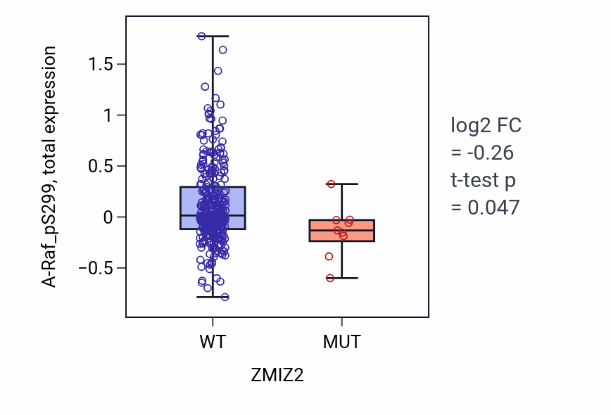 Box plot of A-Raf_pS299 in ZMIZ2-low vs ZMIZ2-high samples in LUSC.