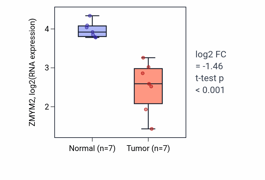Tumor-vs-normal expression box plot for ZMYM2 RNA in KICH.