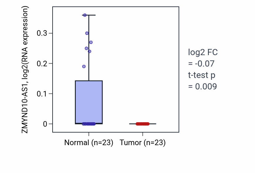 Tumor-vs-normal expression box plot for ZMYND10-AS1 in LUSC.