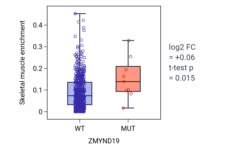 Box plot of Skeletal muscle in ZMYND19-low vs ZMYND19-high samples in UCEC.