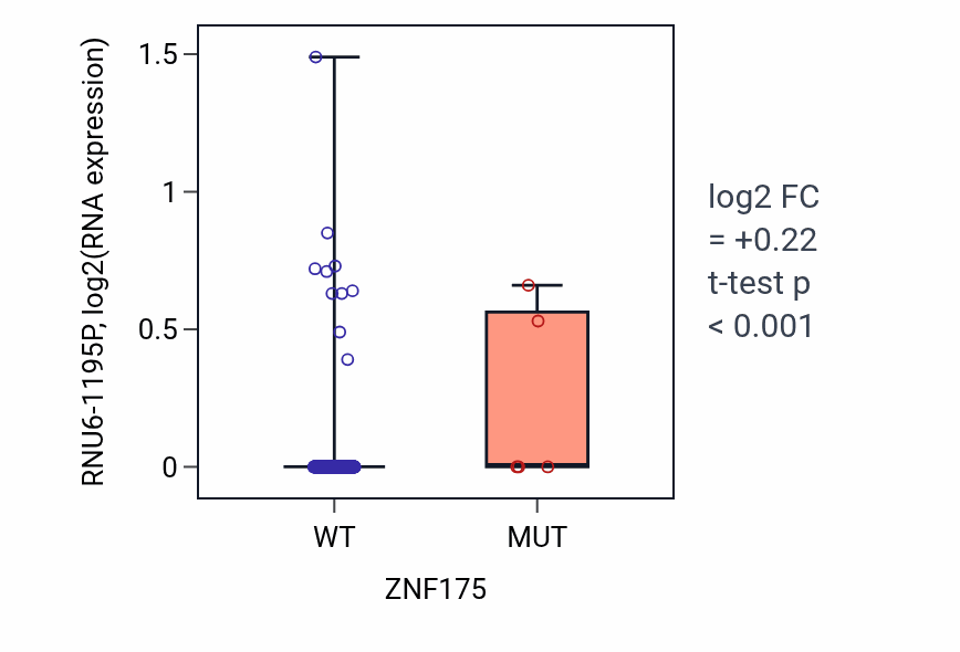 Box plot of RNU6-1195P in ZNF175-low vs ZNF175-high samples in BLCA.
