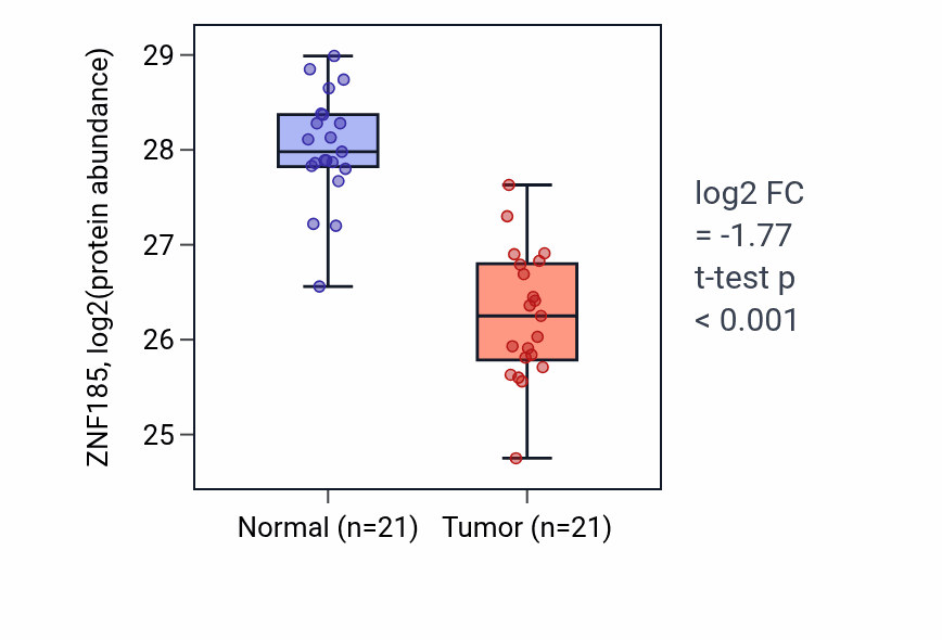 Tumor-vs-normal mass-spec protein box plot for ZNF185 in HNSC.
