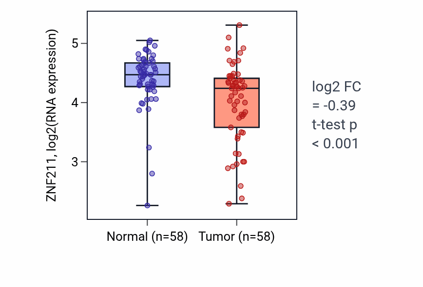 Tumor-vs-normal expression box plot for ZNF211 RNA in THCA.